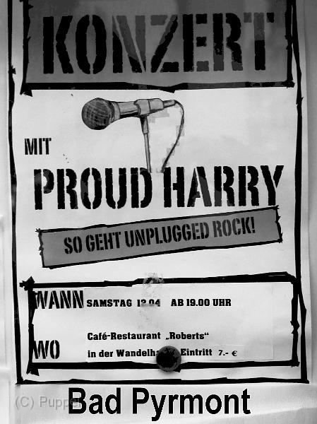 A_Proud_Harry_.jpg